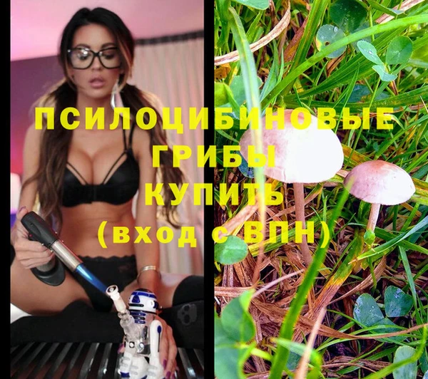 мяу мяу мука Михайловка