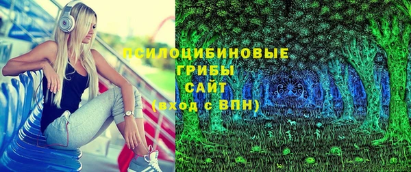 мдпв Алагир